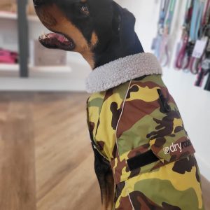 Dog Clothing