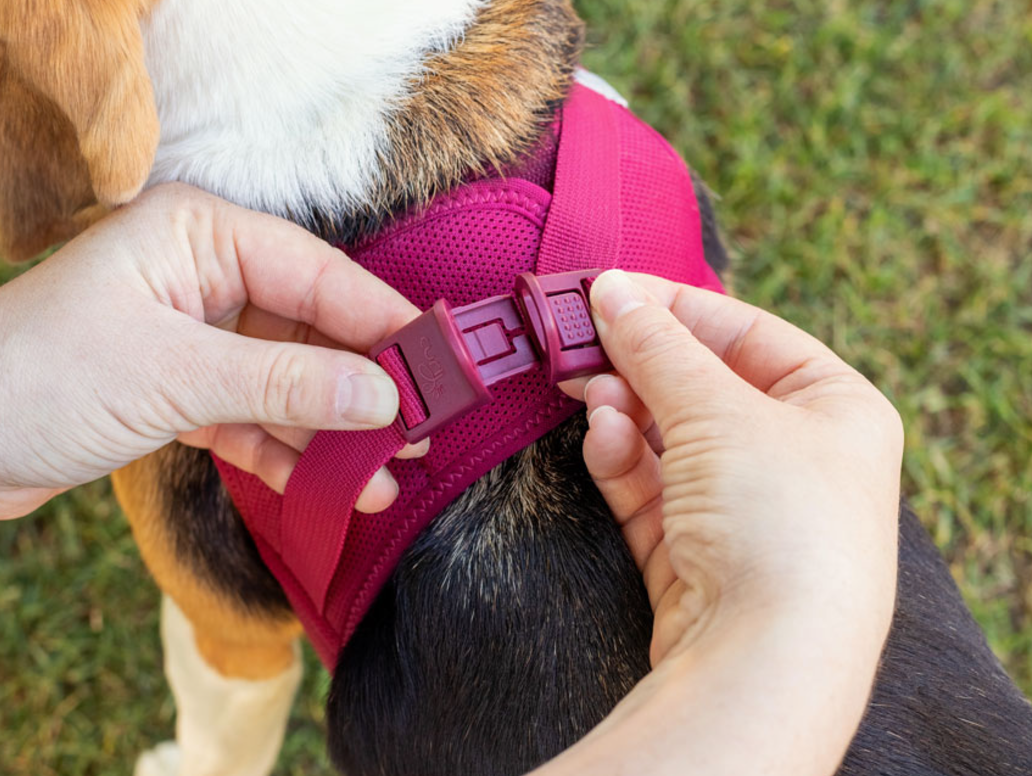 Curli Air Mesh Dog Harness easy to close clasp.