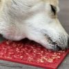 dog licking a lick mat with a healthy treat keeping him entertained