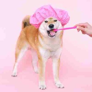 Grooming