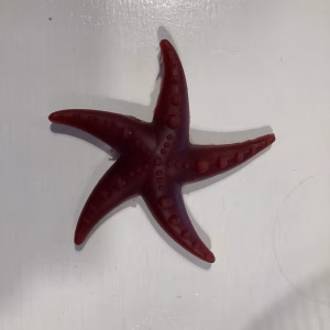 The Pets Larder Starfish Apple & Mint flavour Chew