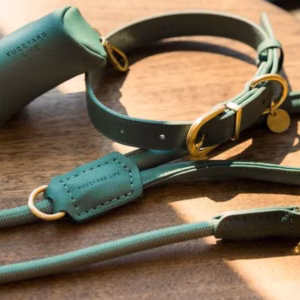 Dog Collars