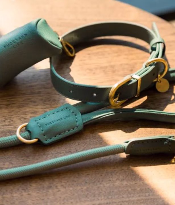 Lifestyle photo of dog walking set in Myrtle Green– collar, poo bag holder and rope lead