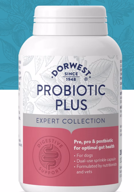 Dorwest Probiotic Plus for Dogs gut health support
