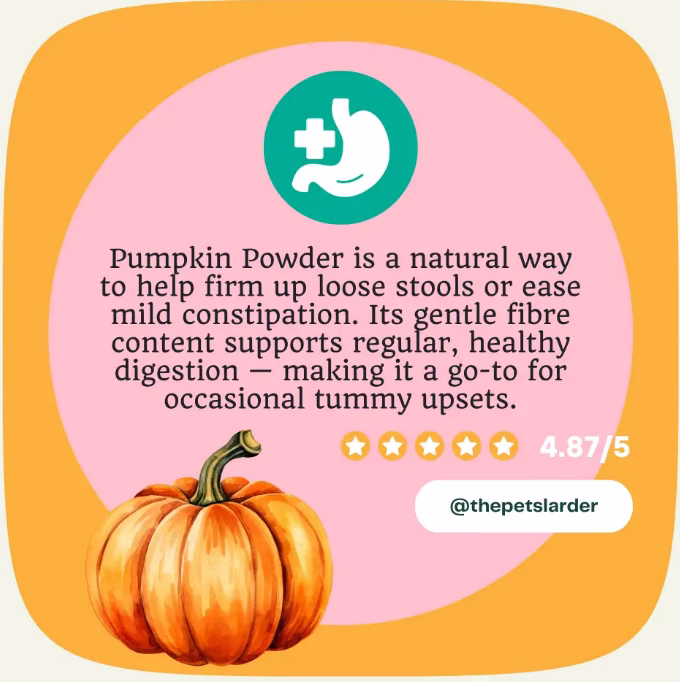 Pumpkin powder for dogs natural fibre support